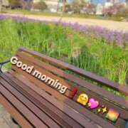 ヒメ日記 2025/04/02 08:02 投稿 みおり エレガンス(広島)