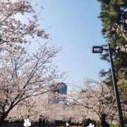 ヒメ日記 2025/04/04 15:48 投稿 みおり エレガンス(広島)