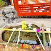 ヒメ日記 2025/04/06 09:21 投稿 みおり エレガンス(広島)