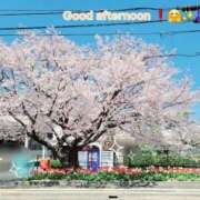 ヒメ日記 2025/04/08 12:09 投稿 みおり エレガンス(広島)