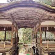 ヒメ日記 2025/04/08 15:09 投稿 みおり エレガンス(広島)