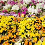 ヒメ日記 2025/04/09 10:58 投稿 みおり エレガンス(広島)