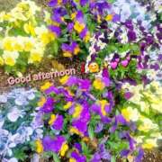 ヒメ日記 2025/04/10 12:23 投稿 みおり エレガンス(広島)