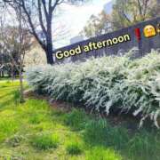 ヒメ日記 2025/04/11 12:09 投稿 みおり エレガンス(広島)