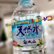 ヒメ日記 2025/04/12 08:48 投稿 みおり エレガンス(広島)