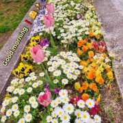 ヒメ日記 2025/04/13 08:38 投稿 みおり エレガンス(広島)