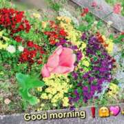 ヒメ日記 2025/04/14 08:48 投稿 みおり エレガンス(広島)