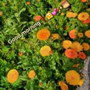 ヒメ日記 2025/04/21 06:28 投稿 みおり エレガンス(広島)