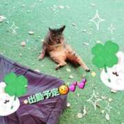 ヒメ日記 2025/04/21 12:18 投稿 みおり エレガンス(広島)