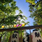 ヒメ日記 2025/04/22 08:20 投稿 みおり エレガンス(広島)