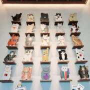 ヒメ日記 2025/04/23 09:18 投稿 みおり エレガンス(広島)