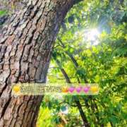 ヒメ日記 2025/04/24 18:18 投稿 みおり エレガンス(広島)