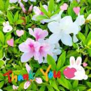 ヒメ日記 2025/04/25 08:18 投稿 みおり エレガンス(広島)