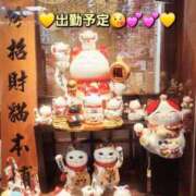 ヒメ日記 2025/04/30 21:28 投稿 みおり エレガンス(広島)