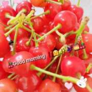 ヒメ日記 2025/05/11 08:08 投稿 みおり エレガンス(広島)