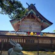 ヒメ日記 2025/05/13 18:39 投稿 みおり エレガンス(広島)