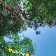 ヒメ日記 2025/05/14 12:48 投稿 みおり エレガンス(広島)