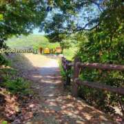 ヒメ日記 2025/05/19 08:38 投稿 みおり エレガンス(広島)