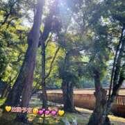 ヒメ日記 2025/05/20 12:08 投稿 みおり エレガンス(広島)