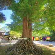 ヒメ日記 2025/06/07 10:34 投稿 みおり エレガンス(広島)