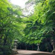 ヒメ日記 2025/06/08 15:38 投稿 みおり エレガンス(広島)