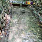 ヒメ日記 2025/06/09 20:32 投稿 みおり エレガンス(広島)