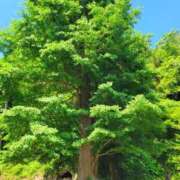 ヒメ日記 2025/06/11 16:48 投稿 みおり エレガンス(広島)