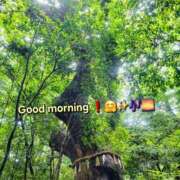 ヒメ日記 2025/06/14 10:38 投稿 みおり エレガンス(広島)