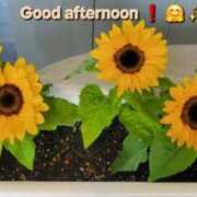 ヒメ日記 2025/06/14 13:28 投稿 みおり エレガンス(広島)