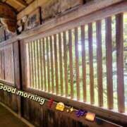 ヒメ日記 2025/06/15 08:08 投稿 みおり エレガンス(広島)