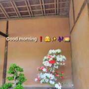 ヒメ日記 2025/06/18 09:18 投稿 みおり エレガンス(広島)