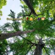 ヒメ日記 2025/06/20 07:08 投稿 みおり エレガンス(広島)