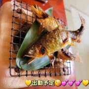 ヒメ日記 2025/06/20 15:18 投稿 みおり エレガンス(広島)