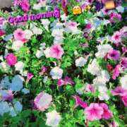 ヒメ日記 2025/07/01 09:48 投稿 みおり エレガンス(広島)