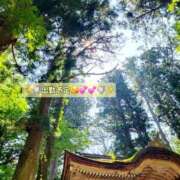 ヒメ日記 2025/07/14 14:48 投稿 みおり エレガンス(広島)