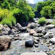 ヒメ日記 2025/07/15 09:24 投稿 みおり エレガンス(広島)