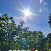 ヒメ日記 2025/07/17 13:01 投稿 みおり エレガンス(広島)