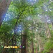 ヒメ日記 2025/08/06 13:48 投稿 みおり エレガンス(広島)