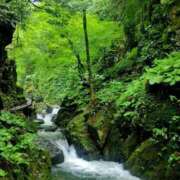 ヒメ日記 2025/08/13 18:09 投稿 みおり エレガンス(広島)