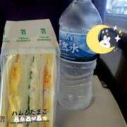 ヒメ日記 2025/08/17 09:18 投稿 みおり エレガンス(広島)