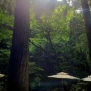 ヒメ日記 2025/08/21 09:08 投稿 みおり エレガンス(広島)