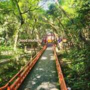 ヒメ日記 2025/09/17 09:35 投稿 みおり エレガンス(広島)