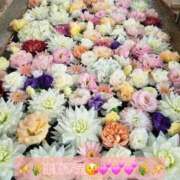 ヒメ日記 2025/09/19 12:11 投稿 みおり エレガンス(広島)