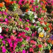 ヒメ日記 2025/10/07 12:58 投稿 みおり エレガンス(広島)