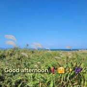 ヒメ日記 2025/10/17 12:18 投稿 みおり エレガンス(広島)