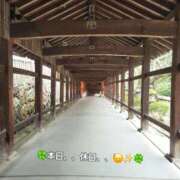 ヒメ日記 2025/10/28 09:18 投稿 みおり エレガンス(広島)