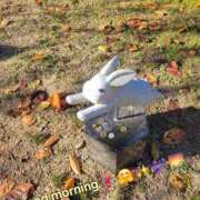 ヒメ日記 2025/11/01 09:18 投稿 みおり エレガンス(広島)