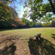 ヒメ日記 2025/11/04 18:18 投稿 みおり エレガンス(広島)