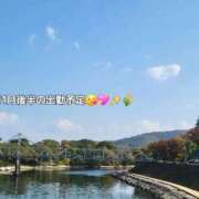 ヒメ日記 2025/11/14 21:28 投稿 みおり エレガンス(広島)