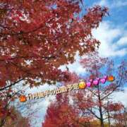 ヒメ日記 2025/11/18 10:08 投稿 みおり エレガンス(広島)